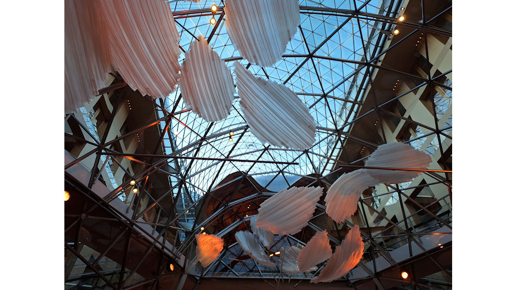 20250120_102622.jpg 20250120_102622.jpg